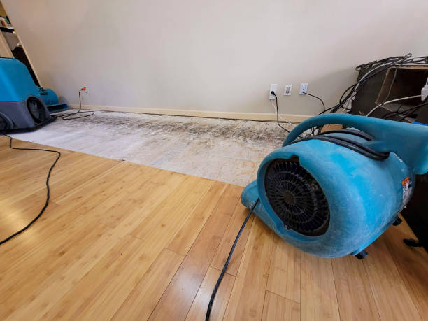 Professional Water Damage Repair technician working in Iberia, OH